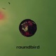 Roundbird Single