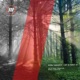 Lost in Forest Single