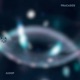 Fracasos Single