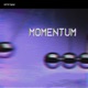 Momentum Single