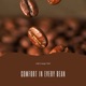 Comfort in Every Bean