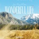 Wonderful Life Single