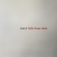 Falls From View Single