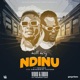 Ndinu feat Gwamba Kambwiri Sisters Single