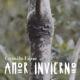 Amor Invierno Single