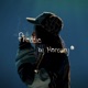 freddie Single