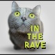 In The Rave Single