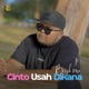 Cinto Usah Dikana Single