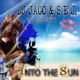 Into the Sun