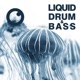 Liquid Drum Bass Sessions 2020 Vol 33