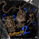 Bottom Up 2
