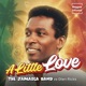 A Little Love Reggae Infused feat Glen Ricks