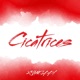 Cicatrices Single