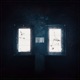 Let Loose Single