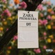 Zara Primavera feat Thiago Sub Single