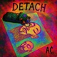 DeTaCH the sessions
