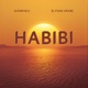 HABIBI Extended Mix Single