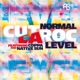 Normal Level feat Coppa Native Sun Single
