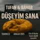 Düşeyim sana feat Bahar Tufan Single