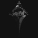 tr asl33p remix Single