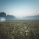 Meadow Single