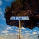 VITA PUTTANAIO Single