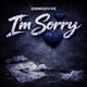 I m Sorry Single