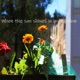 When the Sun Shines in My Window Single