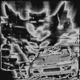 Fxntom Single