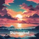 Shipwrecked feat Kojote Single