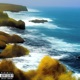 Marea Single