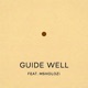 Guide Well feat Msholozi Single