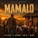 Mamalo Lobola feat Bellafonte Mula Jay Troy Dipa Single