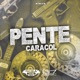 Pente Caracol Single