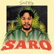 Saro Anikulapo Single