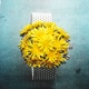Dandelion feat Deadforest Single