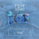 Roars Youg Remix Single