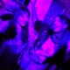 Trippin Single