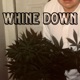 Whine Down Single