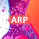 Arp Single