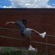 Jump Single