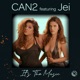 It s the Music feat Jei Single