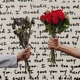 Flowers For My Love feat Aanant Single