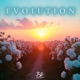 Evolution