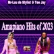 Amapiano Hits of 2023 Vol 1 DJ Mix