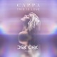 This Is Love Remix Single