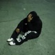 ELOHIM Single