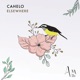 Elsewhere DSF Remix Single