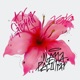NENA PECULIAR Single