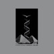 Spirals The Ark Single